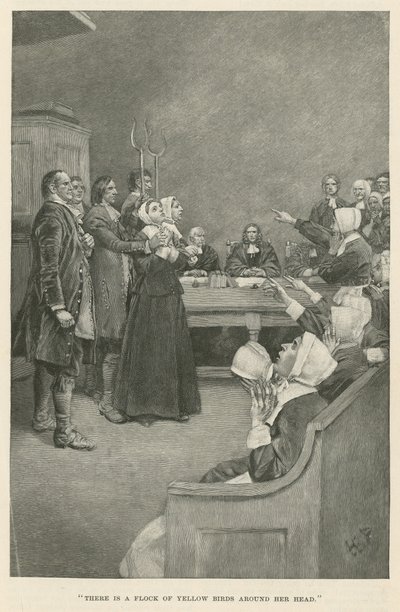 Det er en flokk med gule fugler rundt hodet hennes av Howard Pyle