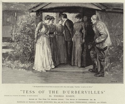 Tess fra D