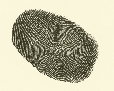Fingeravtrykk (gravering) av Hugh Rowley