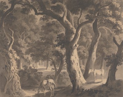Wychwood-skogen av Hugh William Grecian Williams
