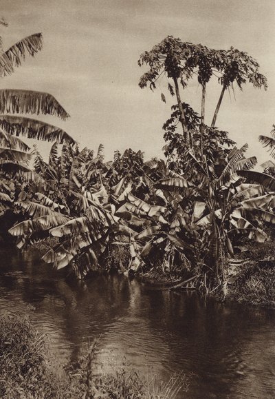  av Hugo Brehme
