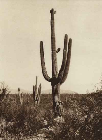  av Hugo Brehme