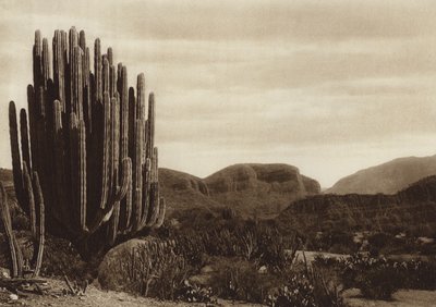  av Hugo Brehme