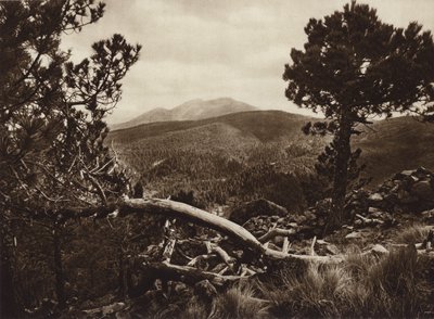  av Hugo Brehme