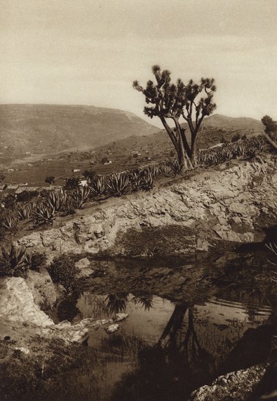  av Hugo Brehme