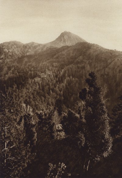  av Hugo Brehme