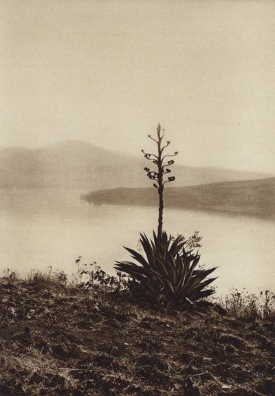  av Hugo Brehme