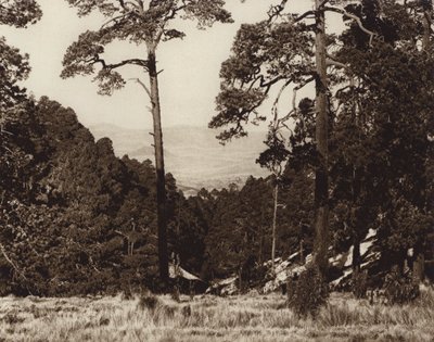  av Hugo Brehme