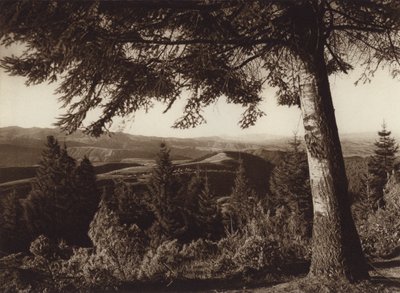  av Hugo Brehme