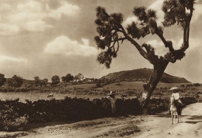  av Hugo Brehme