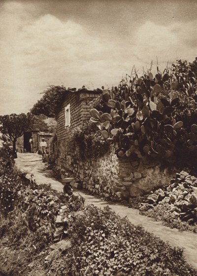  av Hugo Brehme
