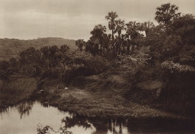  av Hugo Brehme