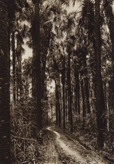  av Hugo Brehme