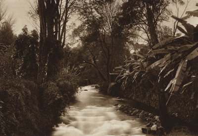  av Hugo Brehme