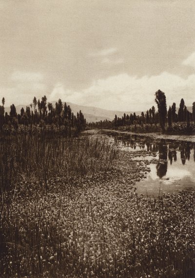  av Hugo Brehme