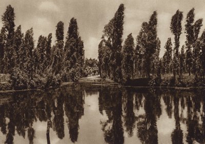  av Hugo Brehme