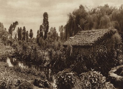  av Hugo Brehme