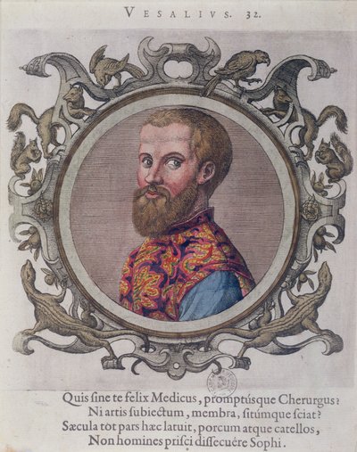 Portrett av Andreas Vesalius (1514-64) fra Receuil des Portraits de Medecins av den ungarske legen, Sambucus, 1574 av Hungarian School