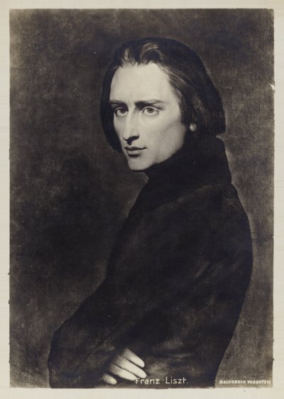 Portrett av Franz Liszt av Hungarian School