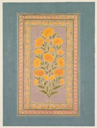 Blomstrende ringblomst, ca. 1765. av Hunhar II