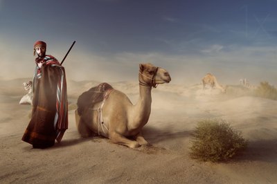 Reisende i den arabiske ørkenen av Hussain Buhligaha