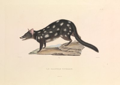  av Hyacinthe Yves Philippe (1781 1846) Potentien