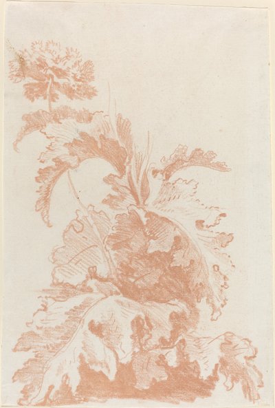 Valmue i blomst av I Jean Baptiste Hüet