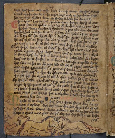 Horse Fight, fra Heynesbok (The Book of Heynes), 1. halvdel av 1500-tallet av Icelandic School