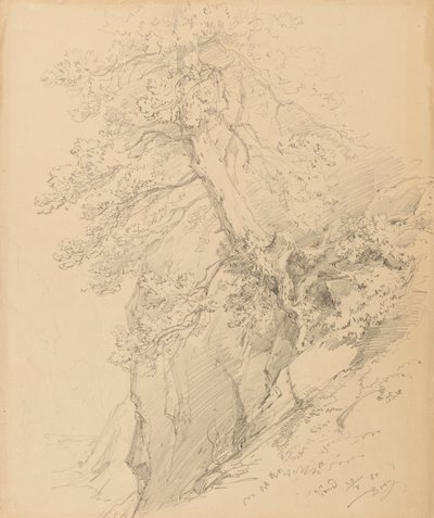trestudie av Ignaz Dorn