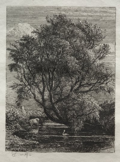 Willow av Ignaz Gunther