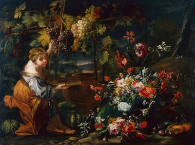 Ung jente plukker druer (olje på lerret) av Il and Brueghel Abraham Borgognone