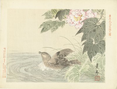 Badende fugl ved rosa blomst Blomster- og fugleskisser av Keinen (serietittel) Keinen kacho gafu (serietittel på objekt) av Imao Keinen