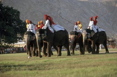 Menn som spiller elefantpolo (bilde) av Indian Photographer