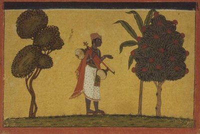 47.19/134 Madhavanala med en vinranke i skogen fra en 