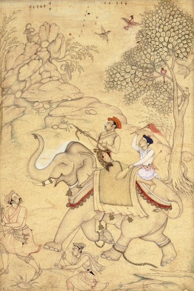En prins på jakt, montert på en elefant, ca. 1600-1650 av Indian School