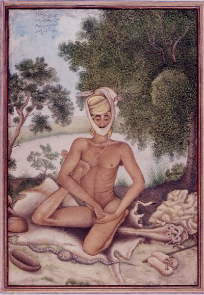 Legg til 27255 fol.370v A Naked Ascetic, fra 