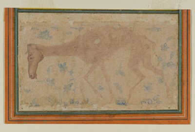 An Emaciated Horse, fra Mughal eller Deccan, midten av 1600-tallet (blekk- og fargevask på papir) av Indian School