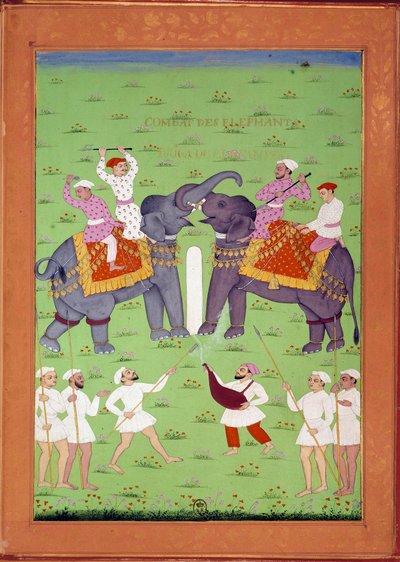 Slaget om to elefanter ved hoffet til Shah Alem Indiske og persiske miniatyrer i "History of India from Tamertante to Orangreyb"" av Niccolo Manucci (1638-1717). B.N., Paris. av Indian School