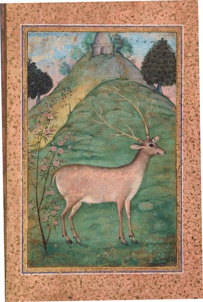 Buck in a Landscape, ca. 1595 (ugjennomsiktig wc og gull på papir) av Indian School