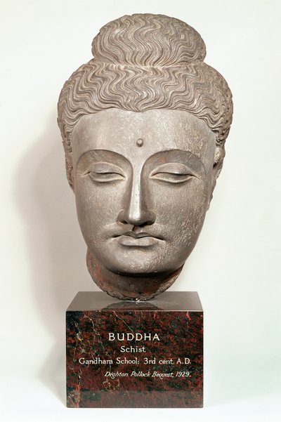 Hodet fra en statue av Buddha, fra Gandhara, Nordvest-India (grå skifer) av Indian School
