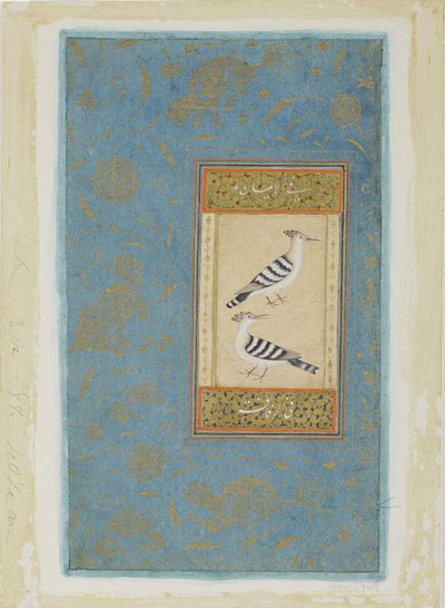 Hoopoes, ca. 1590 (ugjennomsiktig wc og gull på papir) av Indian School