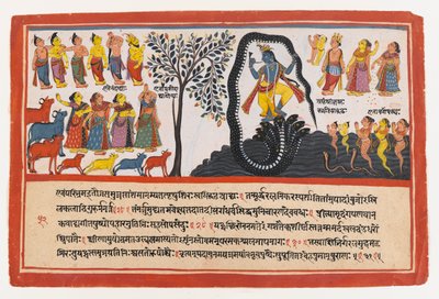 Krishna Conquers the Serpent Kaliya, side fra en Dispersed Bhagavata Purana Series, ca. 1775 (ugjennomsiktig wc og gull på papir) av Indian School