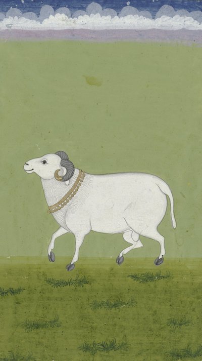 Ram med gullkrage, 1700-1799 av Indian School