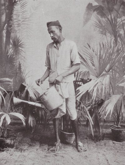  av Indian photographer