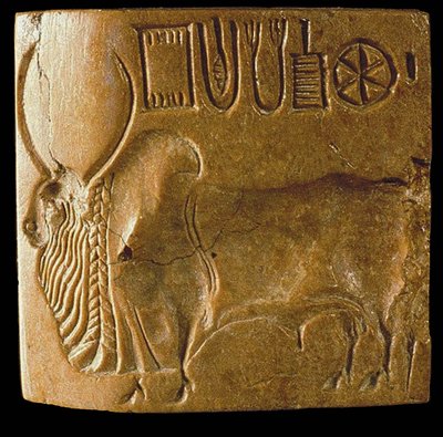 Zebu oksesel med Indus-skrift funnet i Mohenjo Daro, Indus-dalen, 3. årtusen f.Kr. av Indus Valley Civilisation.