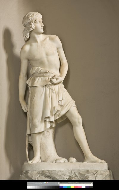 David med slyngen, 1858 av Innocenzo Fraccaroli