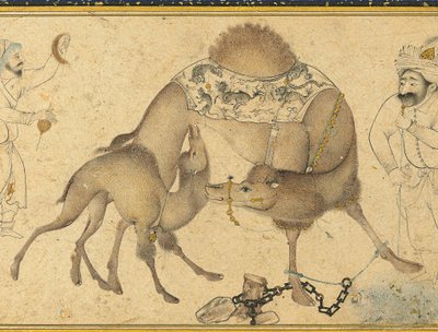 En kamel og kalven hennes, Safavid Iran, 1650-1700 av Iranian School