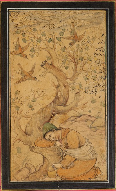 En fortvilet trollmann av Iranian School