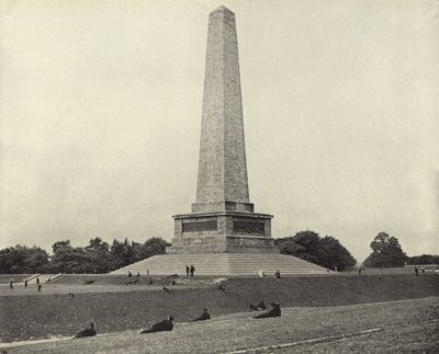 The Wellington Testimonial, Phoenix Park (s/hvitt-bilde) av Irish Photographer