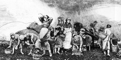 Potethøsting, ca. 1870-tallet av Irish School